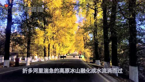 娱乐吃瓜君17集,揭秘娱乐圈背后的惊人真相