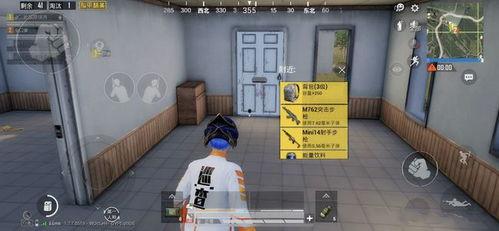 巡查员最新爆料新闻,揭露城市绿化带惊人秘密